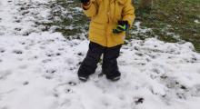 IMG_20230120_090606