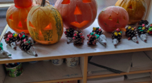 IMG_20221003_101457
