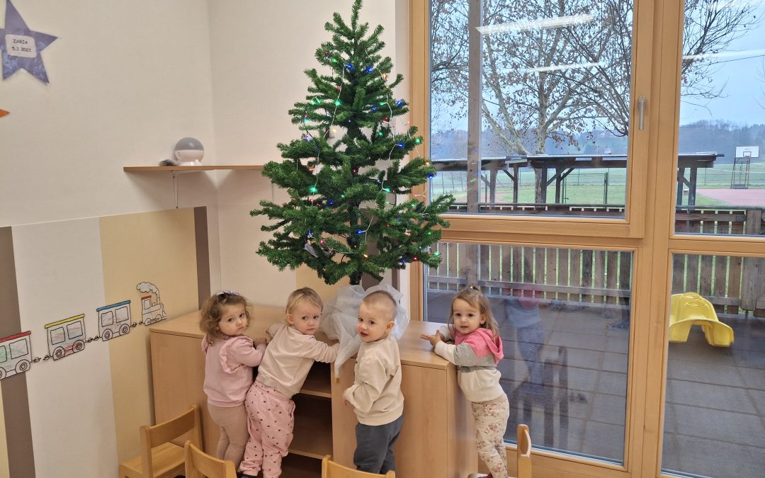 Zaščiteno: ČAROBNI DECEMBER