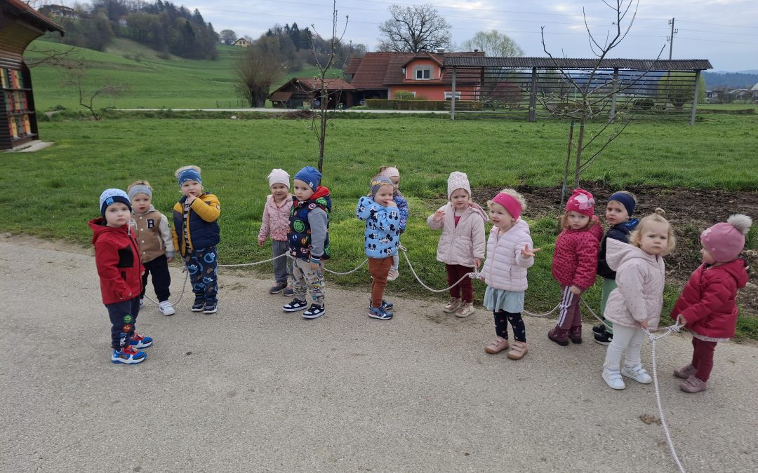 Zaščiteno: Mali koraki, velike poti